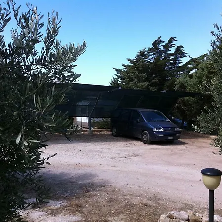 Marisi *