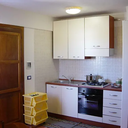 Marisi Macari
